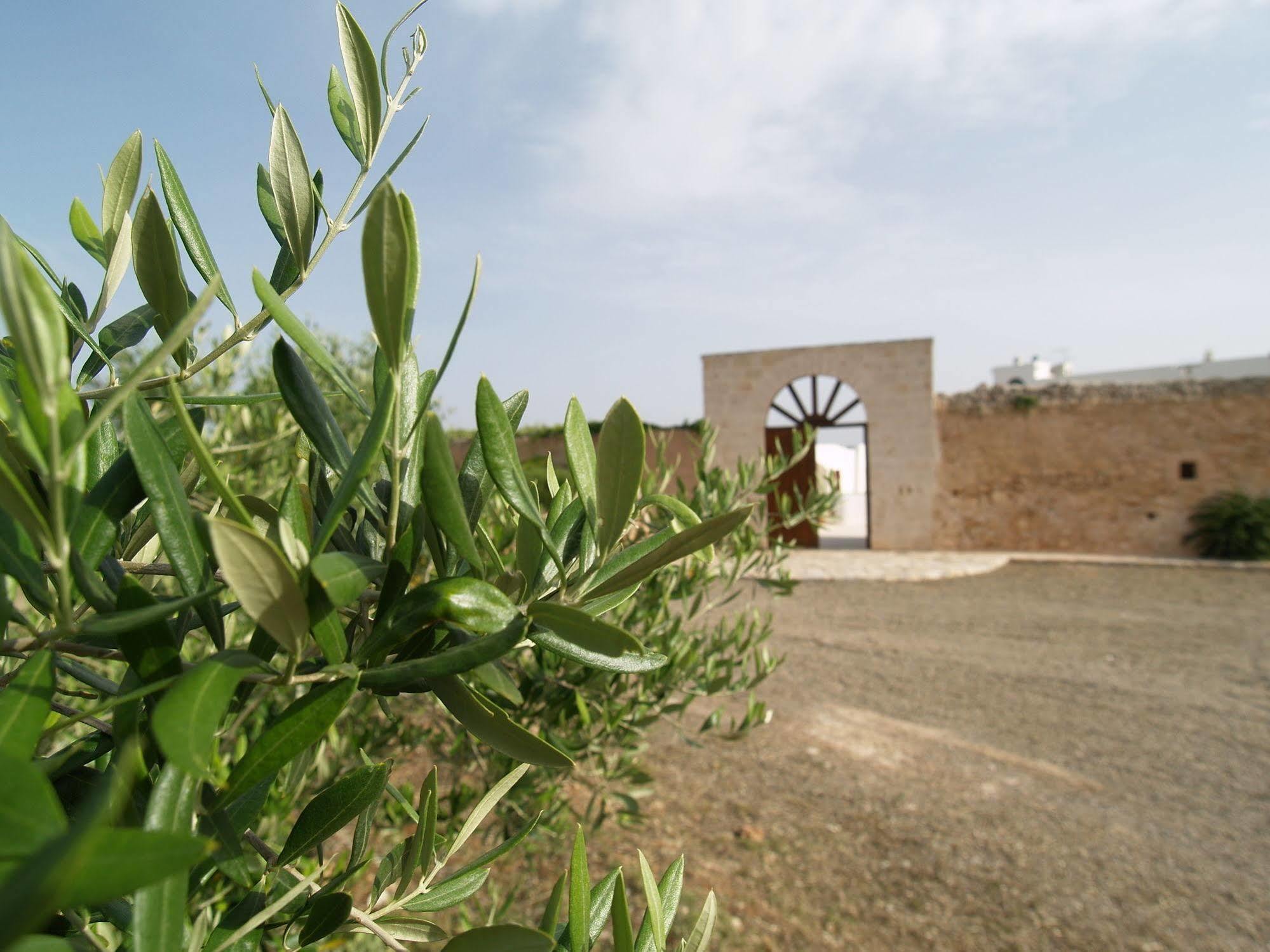 Hotel Masseria Tutosa 오스투니 외부 사진